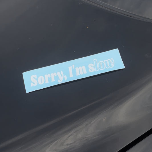 Sorry I’m sLOW 6in